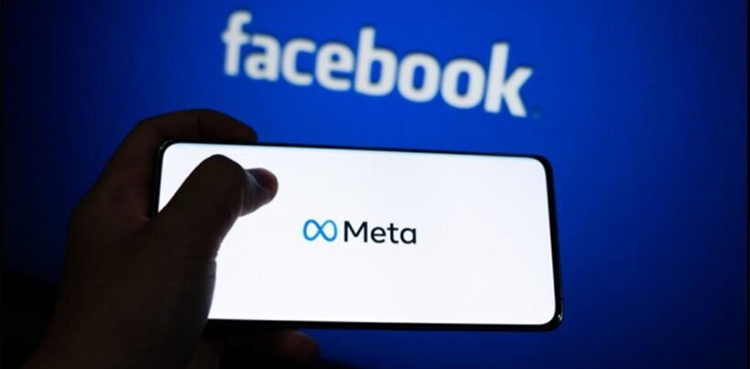 Meta, Facebook, five profiles