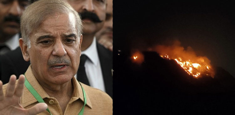 PM Shehbaz Sharif