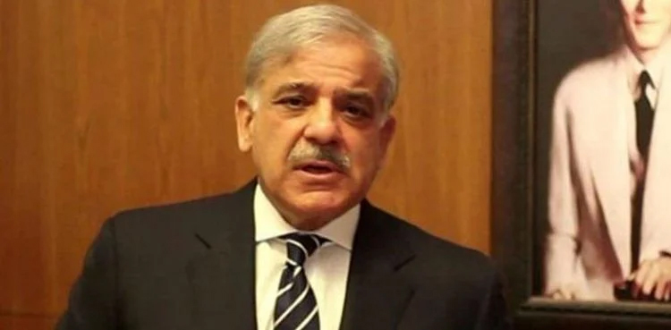pm shehbaz sharif grief afghanistan flood