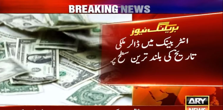 US Dollar in Interbank