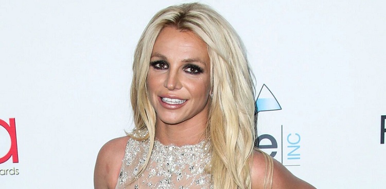 Britney Spears pregnant, social media hiatus