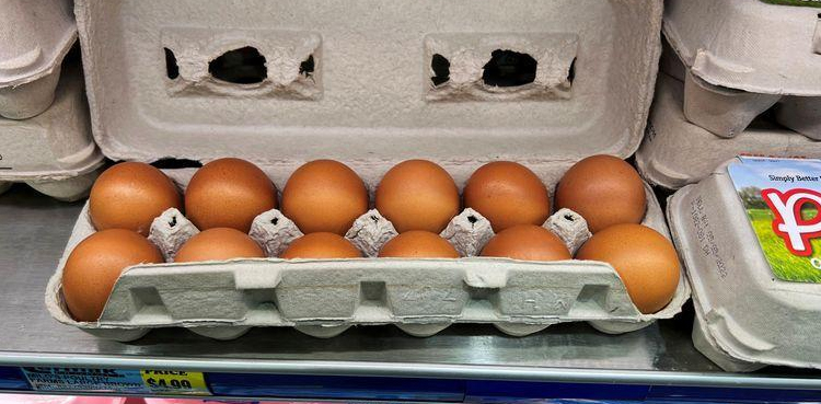 egg prices ukraine bird flu