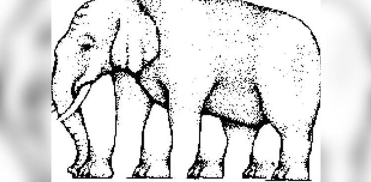 Elephant Optical Illusion
