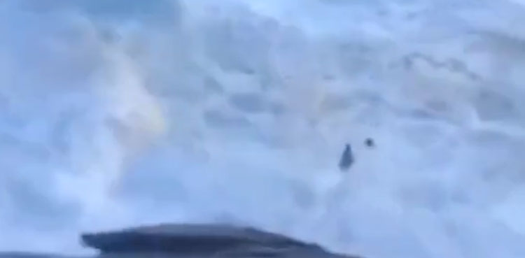 Surfer rescues, lifeguard, viral, video