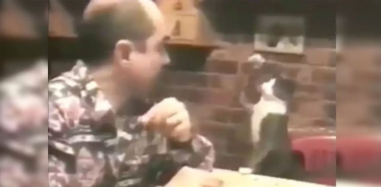 viral-deaf-man-cat-communicate-sign-language