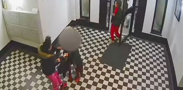 Robbers beat woman Viral Video