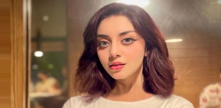 Alizeh Shah, viral comment, Instagram