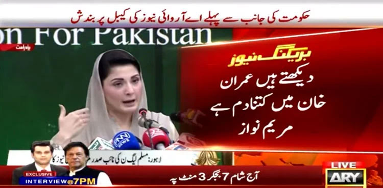 Maryam Nawaz, PML-N, PTI, Imran Khan