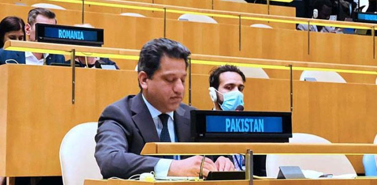 kashmir issue, palestine issue, ukraine war, pakistan