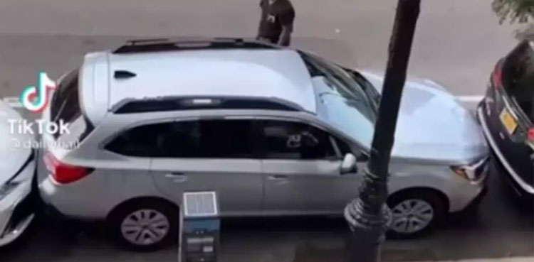 netizens, New York, parking spot, Parking