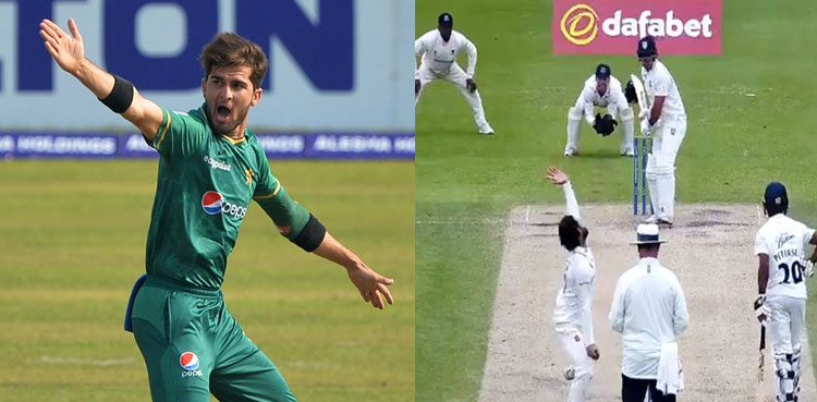 Shaheen-Afridi