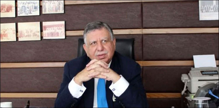 Shaukat Tareen, Finance Minister, PML-N, Import ban