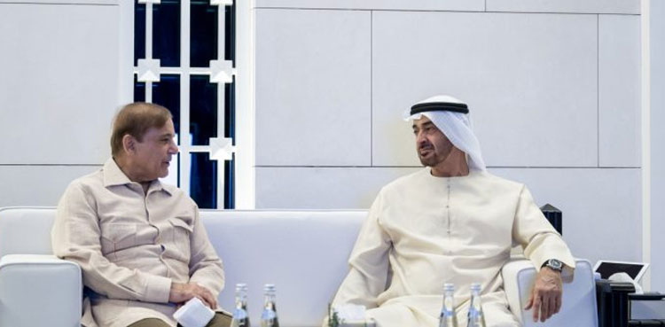 PM Shehbaz Sharif UAE Crown Prince ties
