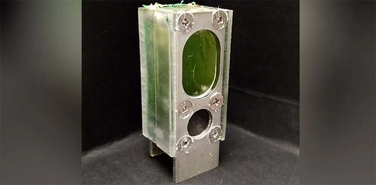 algae computer, mobile charging,