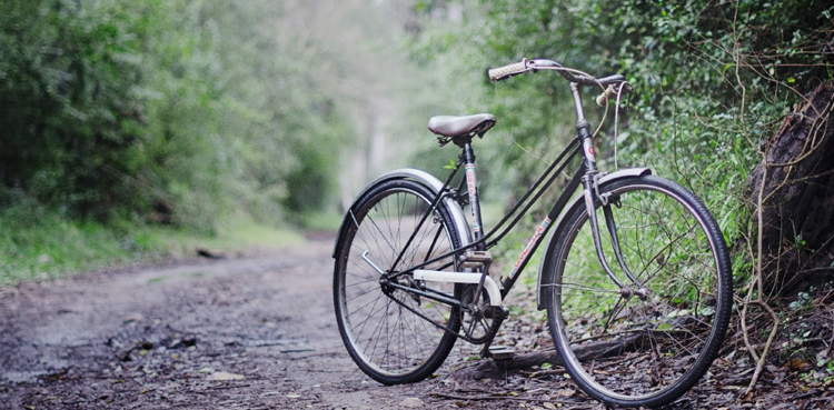 Sri Lanka bicycle fuel