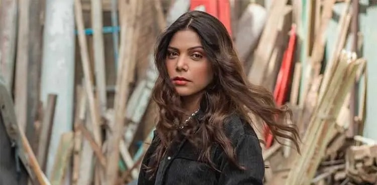 Hadiqa Kiani, TikTok, fake alert