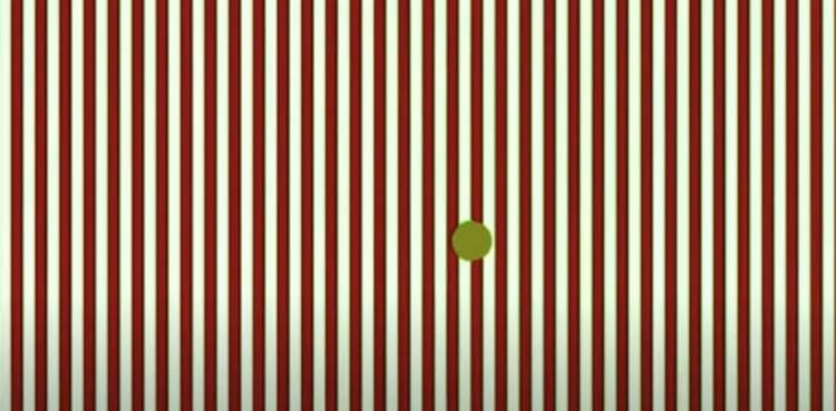 optical illusion, hallucinate,