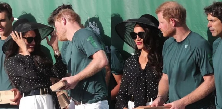meghan markle wipes prince harry face, british royals