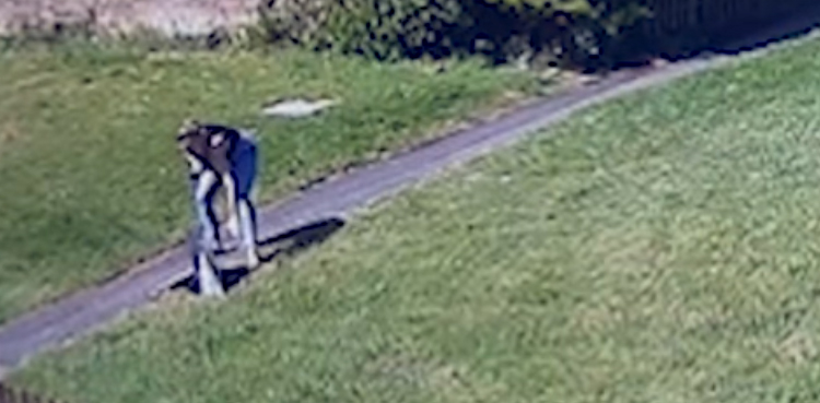woman sewage drain save boy