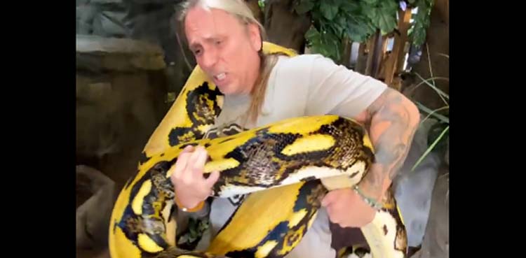 python, snake, handler,