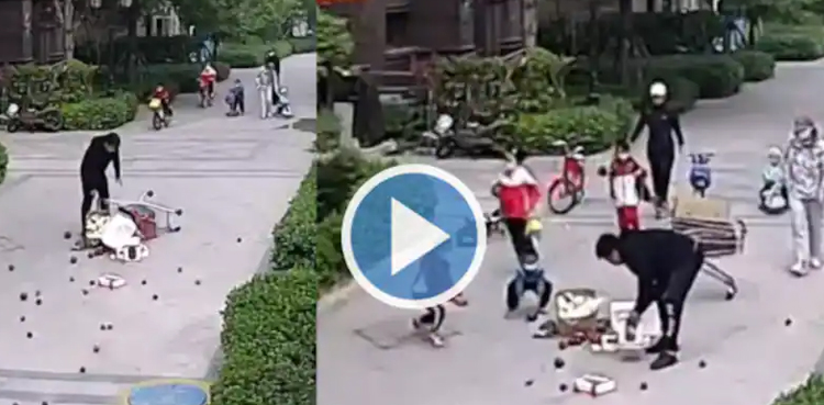carton of fruits, Viral, children, fallen fruits