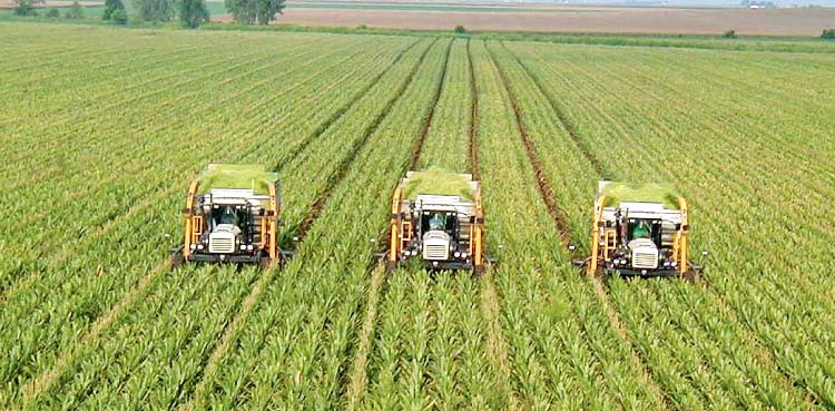 Pakistan record agricultural exports SIFC