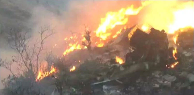 KP Forest Fire