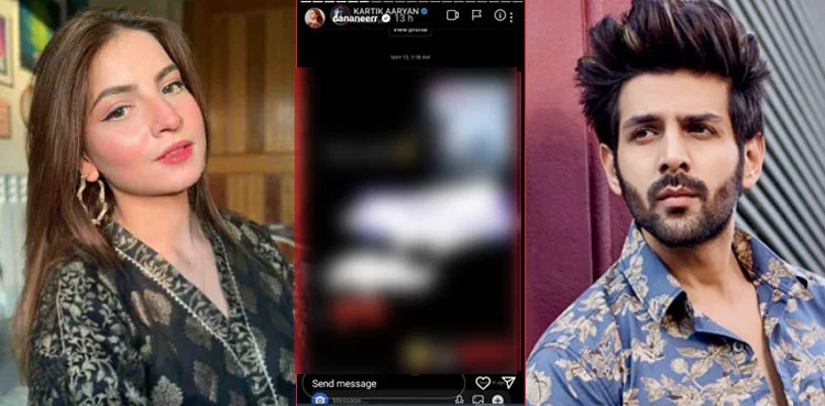 Dananeer Mobeen, Pawri girl, Kaartik Aaryan, Chat Leaked