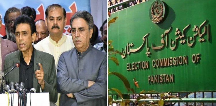 MQM-P,-ECP