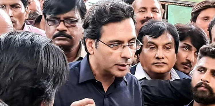 National Accountability Bureau (NAB) Lahore has called for details of Pakistan Muslim League (PML-Q) leader Chaudhry Moonis Elahi and his spouse's property details, ARY News reported. 