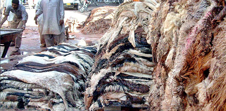 Multan-Animal-Skins