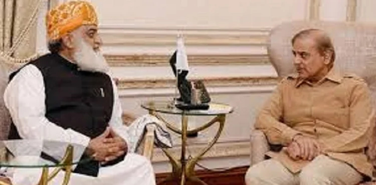 Interest-free economy, PM Shehbaz Sharif, Fazlur Rehman, petition