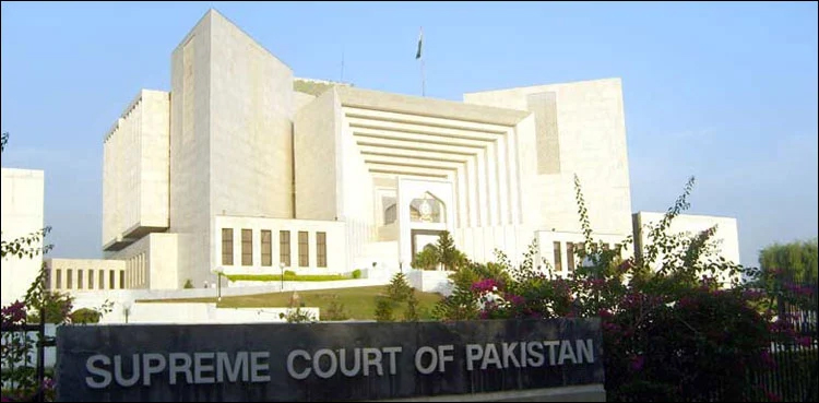MQM-P Sindh LG Polls