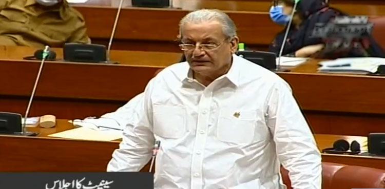 ttp, parliament joint session, talks, Raza Rabbani