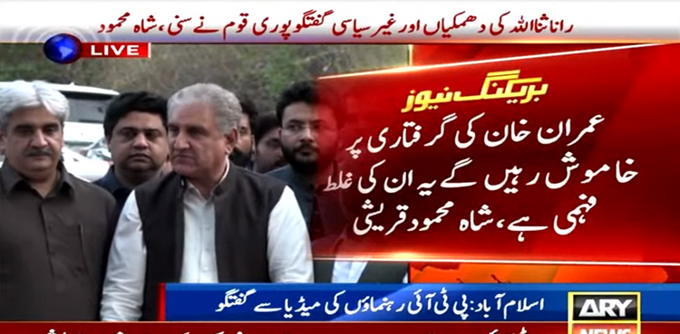 Shah Mahmood Qureshi, Imran Khan, PTI, resignations