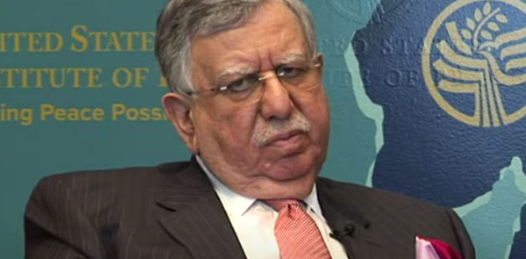 Shoukat-tarin, assets, privatization