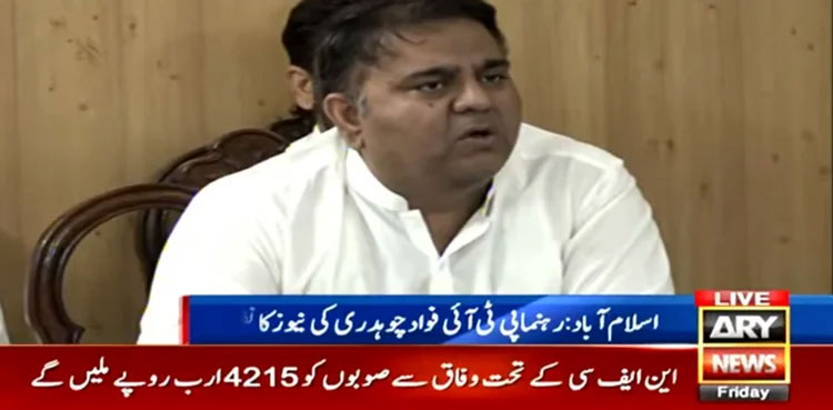 Govt, economic, political, Fawad Chaudhry