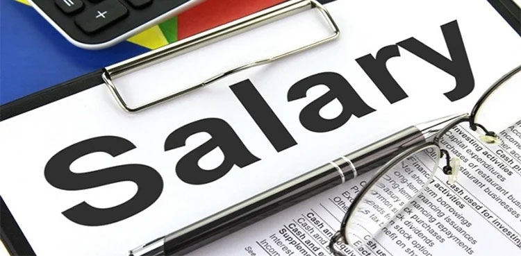 Pakistan, Finance Ministry salary appraisal