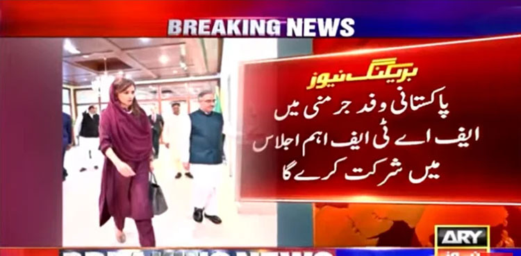 Pakistan, Hina Rabbani Khar, Germany, FATF, delegation