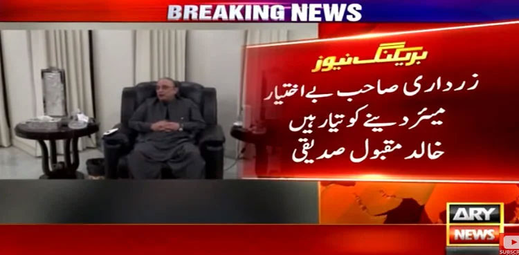 Differences, PPP, MQM-P, Mayor, powers