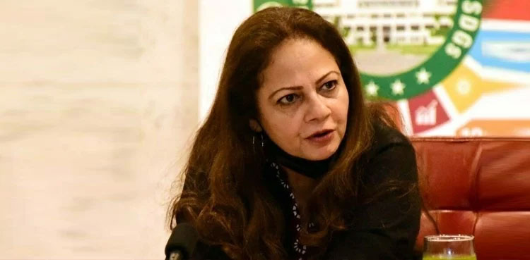 Minister, Aisha Ghaus Pahsa, US, IMF programme