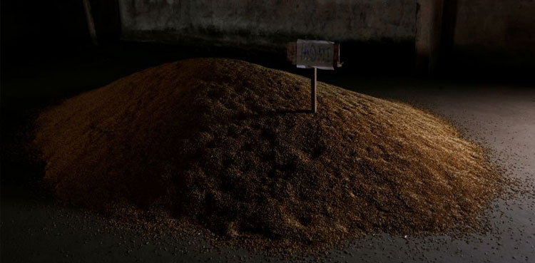 Ukraine russia grain export