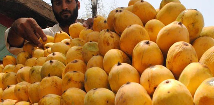 Viral, Karachi, ASI, mango-seller, police official