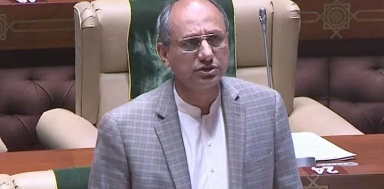 Karachi, mayor, PPP, Saeed Ghani