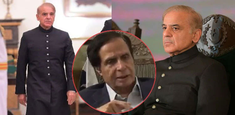 Pervaiz Elahi, govt, petroleum, price hike, petroleum price