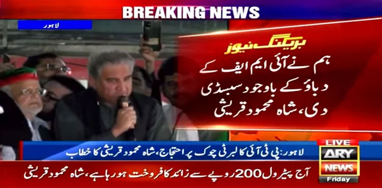 Govt, destroyed, country, Shah Mehmood Qureshi
