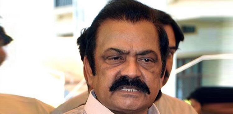 Rana Sanaullah, Imran Khan, arrest, Shah Mehmood Qureshi, PTI
