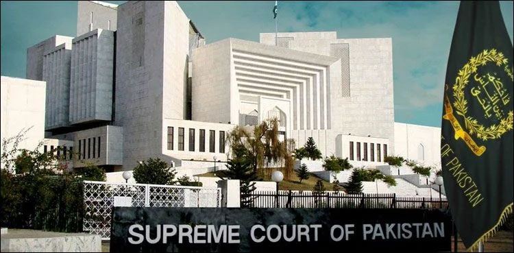 Peaceful protest, constitutional right, state permission, SCP