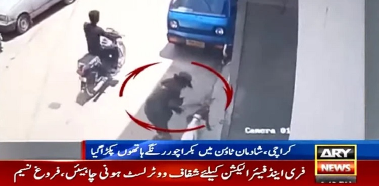 Goat thieve Karachi