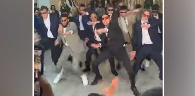 desi style, Wedding guests, dance, energetic video